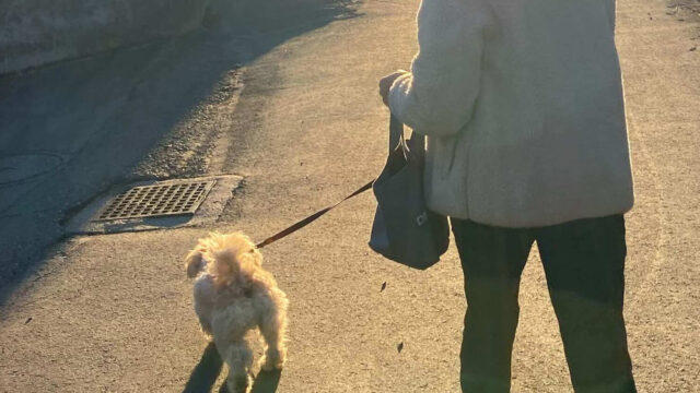手がふさがってしまうトートバッグで愛犬と散歩