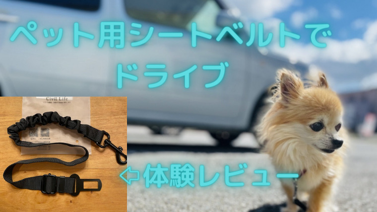 レビュー】犬用シートベルトは安全で快適なドライブにおすすめ｜愛犬 ...